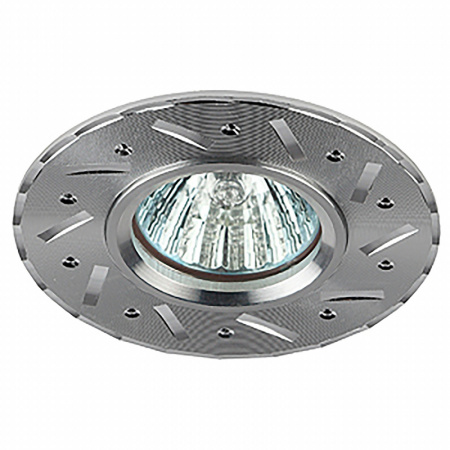 Светильник ЭРА KL41 SL 12V/220V 50W серебро
